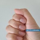 라비드에스테틱