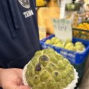 석가가든 이미지