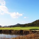 링스골프존 이미지