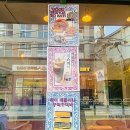 가산 현대아울렛 카페 하이 베를리너 근사한 클래식무드와 강아지 또 커피