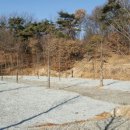 수덕 캠핑장 이미지