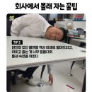 도토 이미지