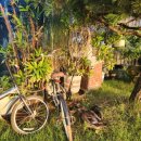 송백농장 이미지