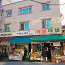 영분야채