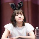 데이비니 이미지