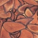 비경한의원 이미지