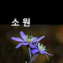 여우곰님 이미지