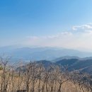 리얼모노 이미지