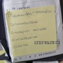 닥터서동물심장병원 이미지