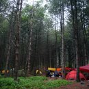 동계공용터미널 이미지