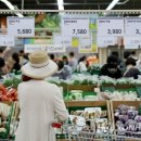 보일농수산 이미지