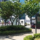 금남로공원 공중화장실 이미지