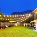 댕댕포레스트 이미지