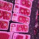 원대로주민건강센터 이미지