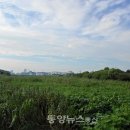 빛가람축산 이미지