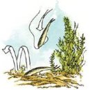 마스터소프트 이미지