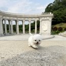 츄스타일