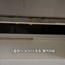 울크 | 기름때 묵은때 잘 지워지는 무독성세정제 울크 울트라클린 공구