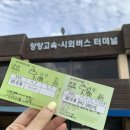 [강원도-양양] 양양 서핑, 조아서프 가는 방법