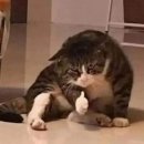 페이퍼워크