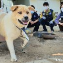 광석1리마을회관 이미지