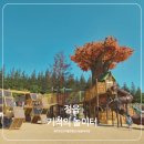 음악분수대 | 정읍 기적의 놀이터 후기｜무료인데 이 규모? 전주 근교 아이랑 하루코스 추천