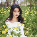 피앤에이 이미지