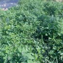 청운농장 이미지