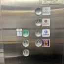 포레약국 | 노원 브로우펌 속눈썹펌 맛집 뷰티포레 후기