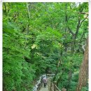 소똥령이야기 | &lt;고성군 소똥령&gt;무더위에 조금 일찍 계곡을 찾아본다.