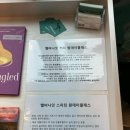 멜버나잇 이미지