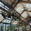 외도널서리 이미지