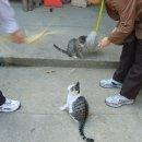 이목중학교 이미지