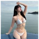 보배드림 이미지