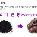 오디스토리 이미지