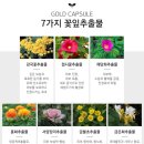 골드스킨&바디 이미지