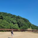 수영식당 이미지