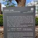향교로 2 이미지