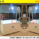 창신인테리어