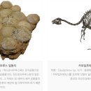 안면도쥬라기박물관 이미지