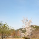 동구혁신도시 걷기좋은 산책로 송호지공원