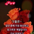 꽃향기 이미지