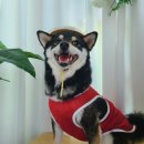 선산대로-27 | 구미 카페 : 1700평 경북 구미 애견카페 멍마르뜨 다녀온 후기