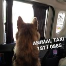 GS25 봉천메트로점 이미지