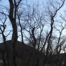 남해-150 이미지