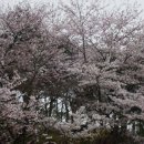 망양정로1 (지방도917) | 부산에서 동해안 따라 곰배령 까지-(1)