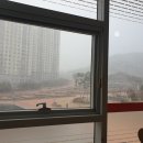 무교동본가 낙지 이미지