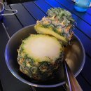평택 텅할로우 캠핑감성에 타로볼 수 있는 이색술집 (+타로후기)