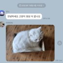 어쩌구저쩌구 이렇게 살았어요