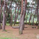 산소카페 청송군민음악회 | [경상북도 청송군] 송정고택